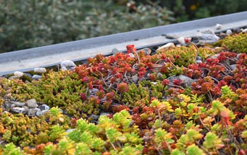 the cost of Deanland green roof installation