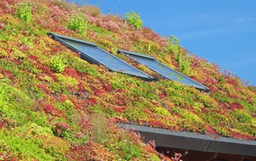 Deanland living roof systems